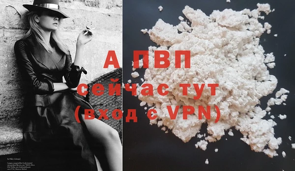 ГАЛЛЮЦИНОГЕННЫЕ ГРИБЫ Беломорск
