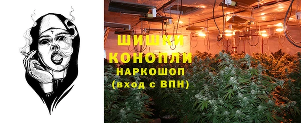 ГАЛЛЮЦИНОГЕННЫЕ ГРИБЫ Беломорск
