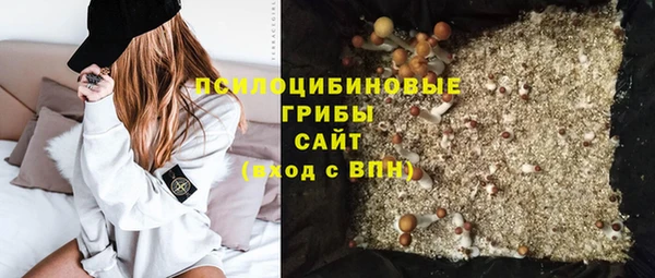 соль ск Белокуриха