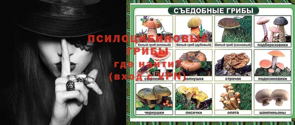 соль ск Белокуриха