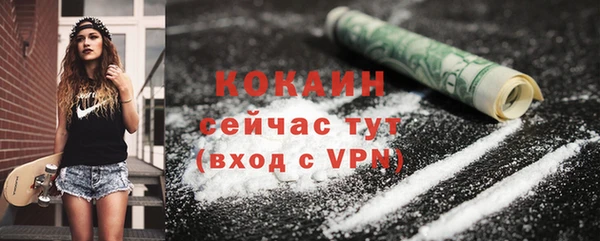 соль ск Белокуриха